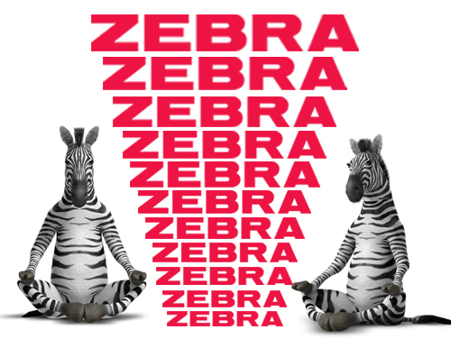 zebra Pen stationery iran